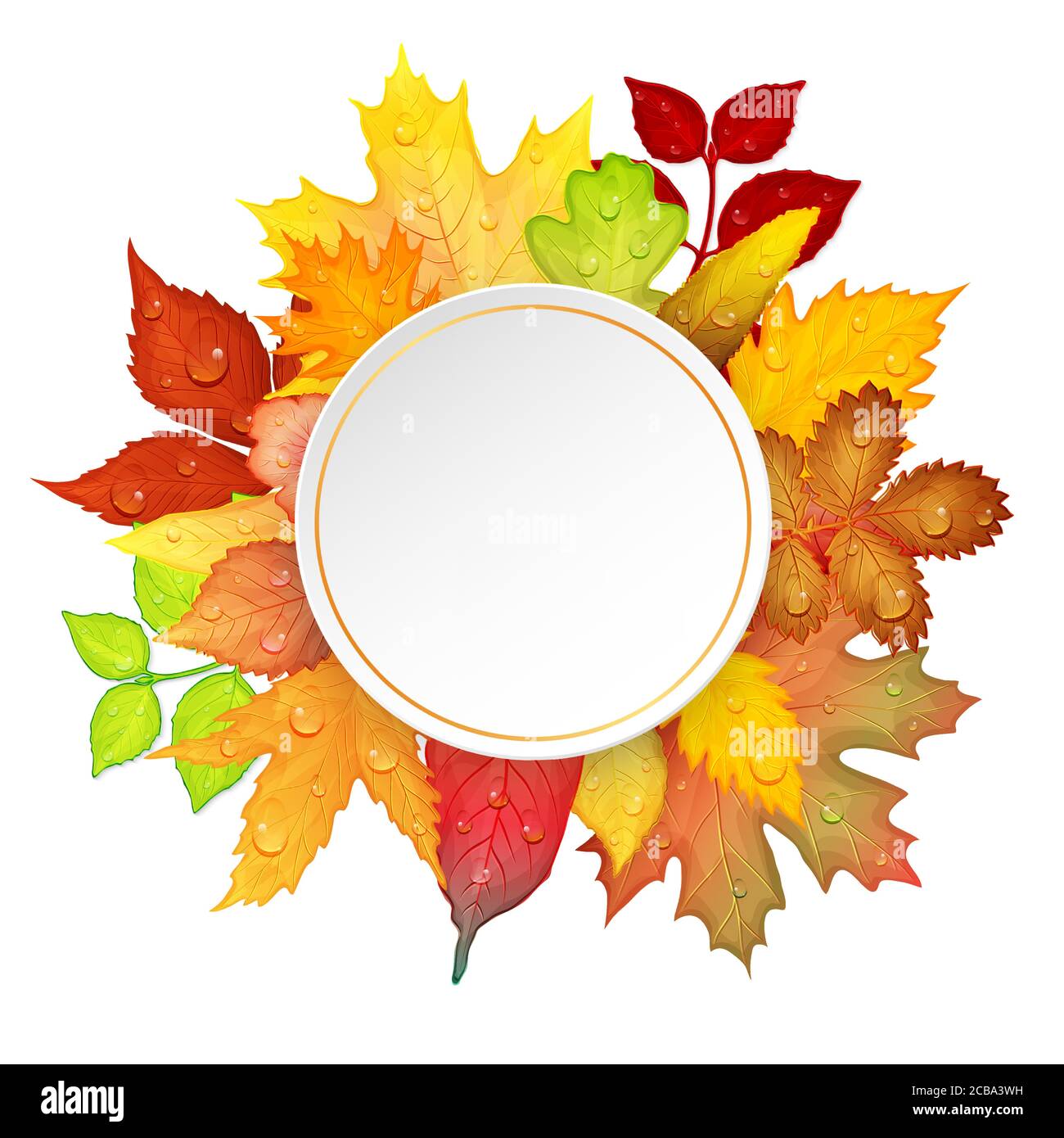 Colorful autumn leaves frame on white background. Vector illustration ...