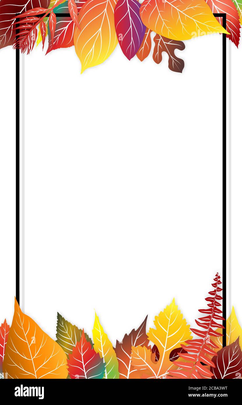 Colorful autumn leaves frame on white background. Vector illustration ...