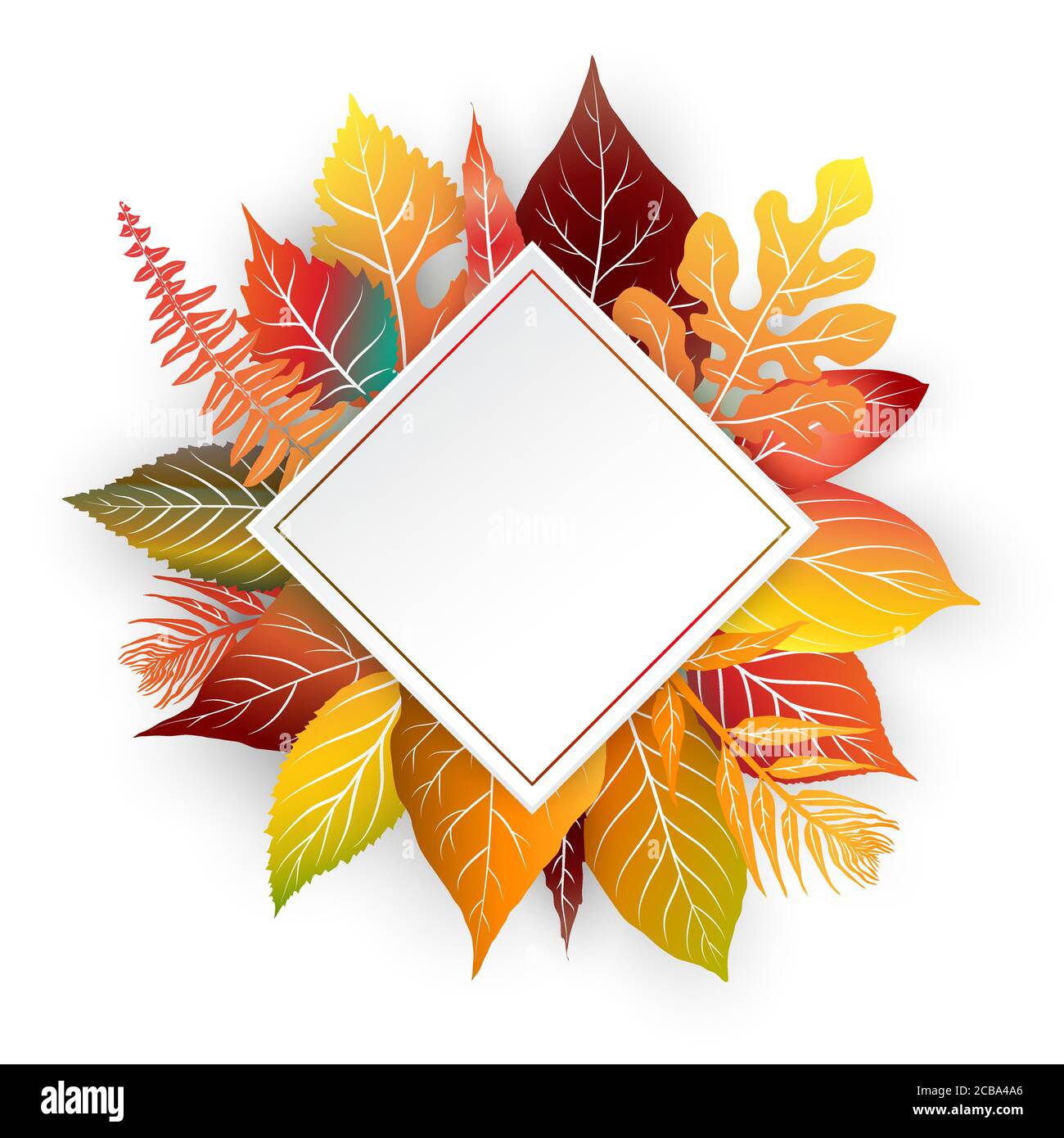 Colorful autumn leaves frame on white background. Vector illustration ...