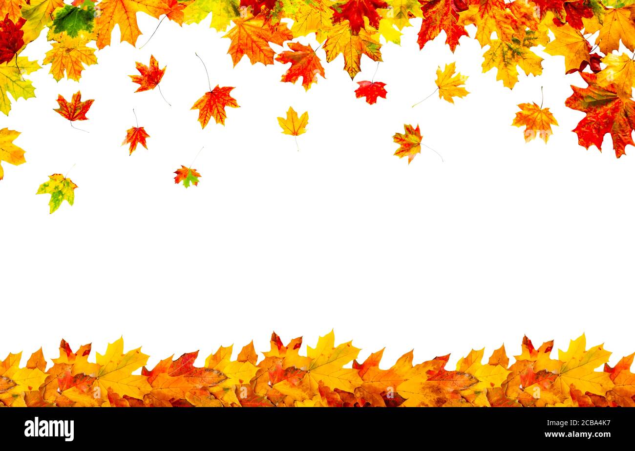 Colorful autumn leaves frame isolated on white background Stock Photo ...