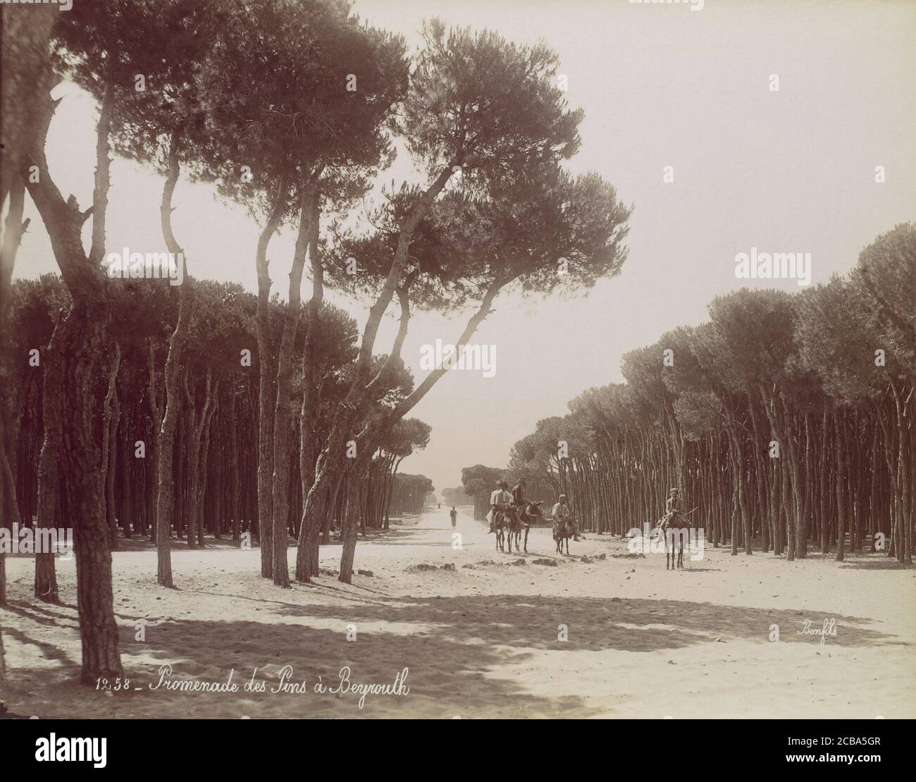 Promenade des Pins &#xe0; Beyrouth, ca. 1870. Stock Photo