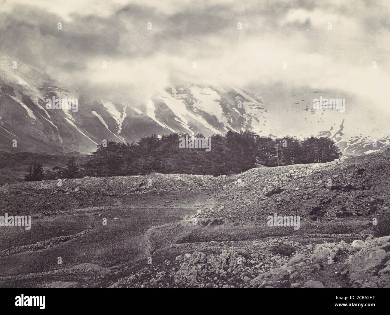 Distant View of the Cedars of Lebanon, ca. 1857. Stock Photo