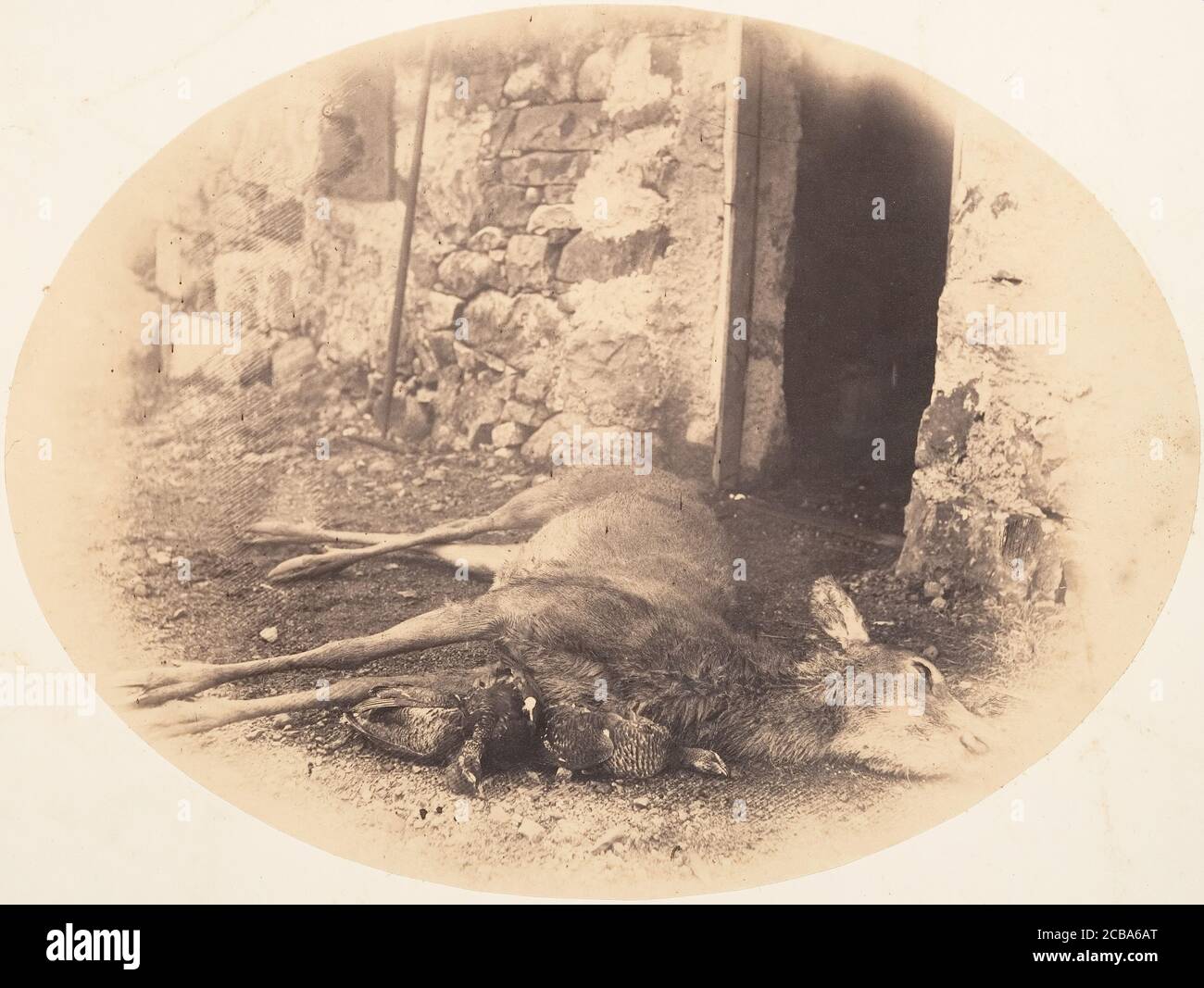 Dead Female Deer and Game Bird, ca. 1856-59. Stock Photo