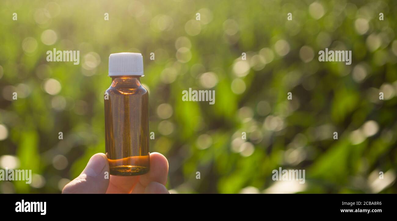 Aromatherapy, spa and herbal medicine ingredients. Copy space. Stock Photo
