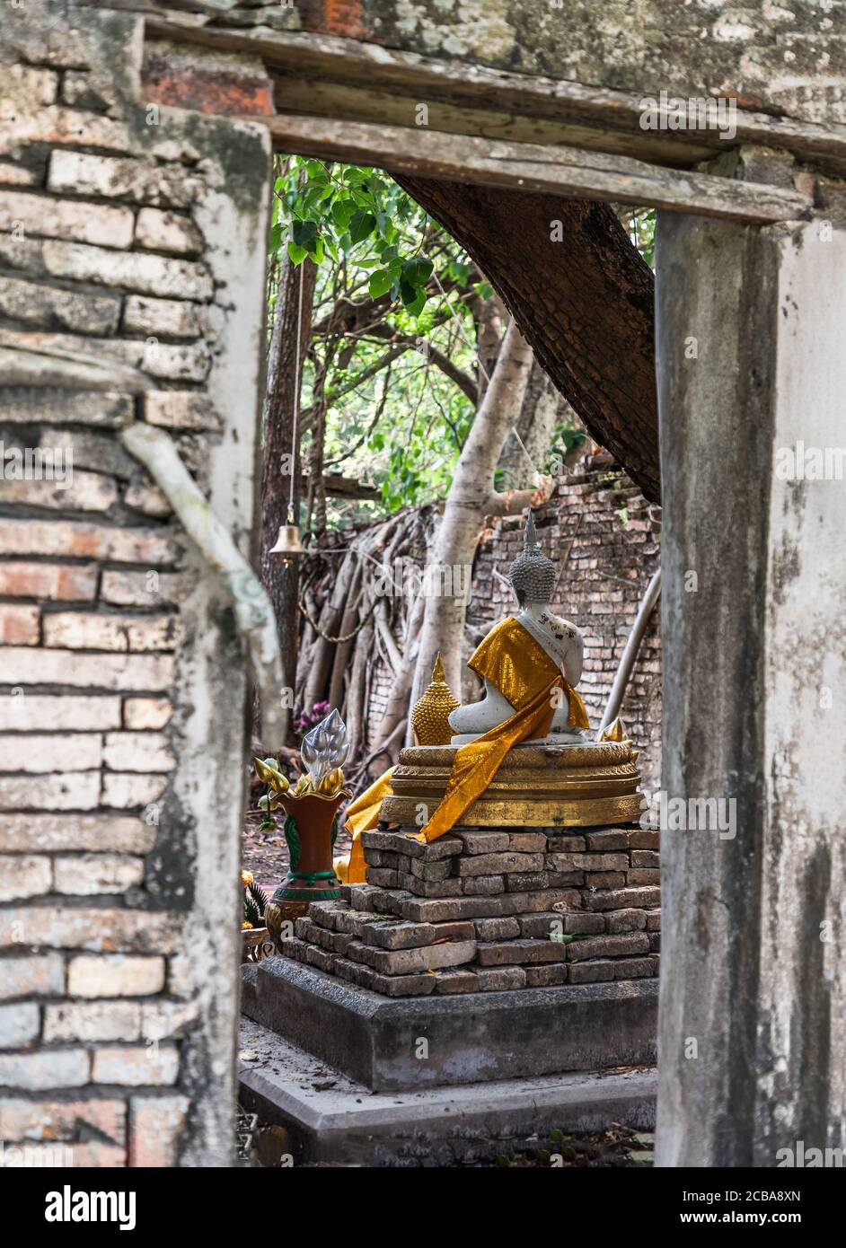 Tree roots covering building ruins hi-res stock photography and images ...