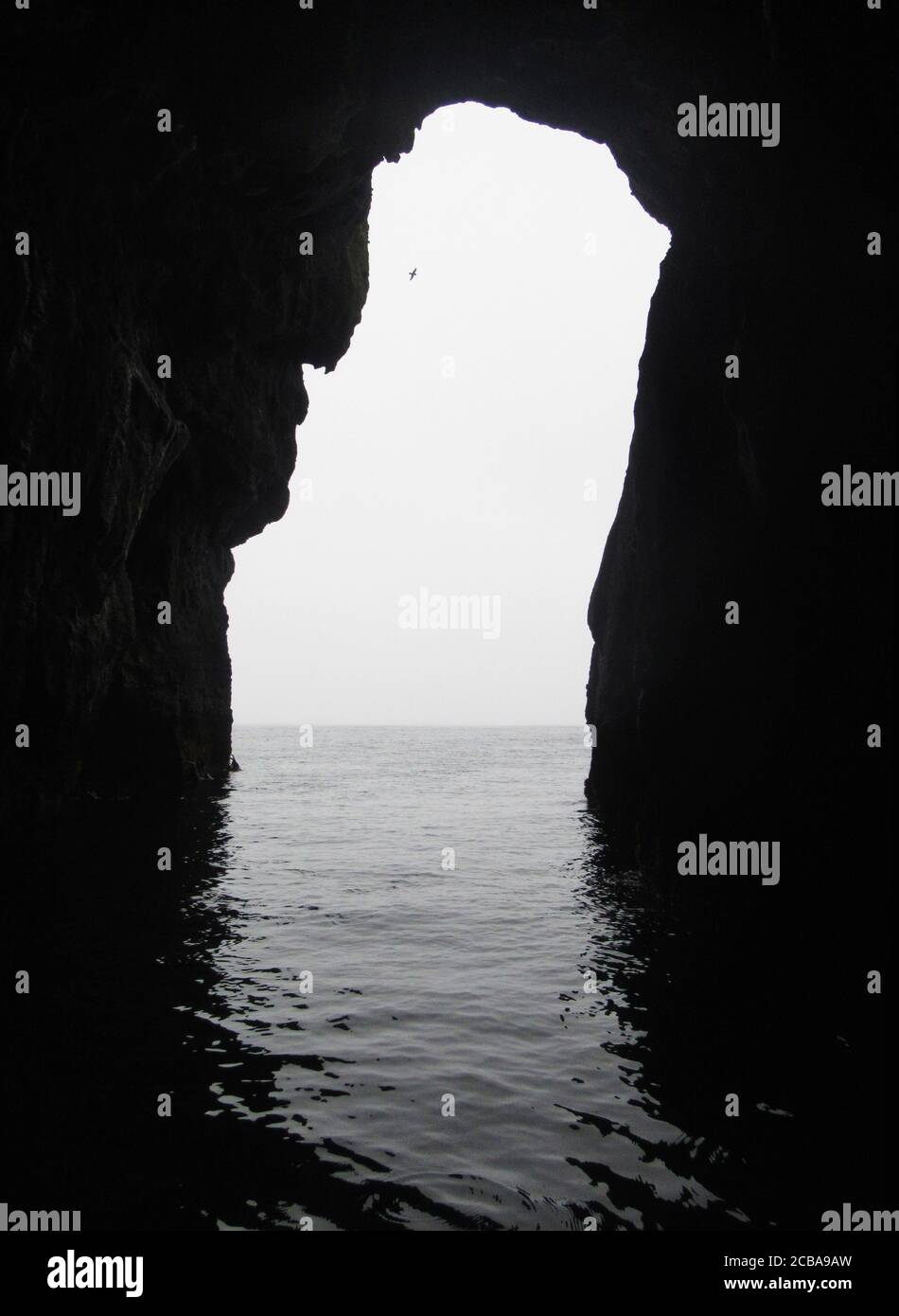 view over the ocean seen from the back of a dark cave, New Zealand, Antipodes islands Stock Photo