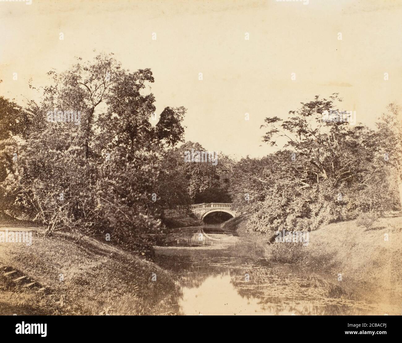 Botanical Gardens, Calcutta, 1850s. Stock Photo