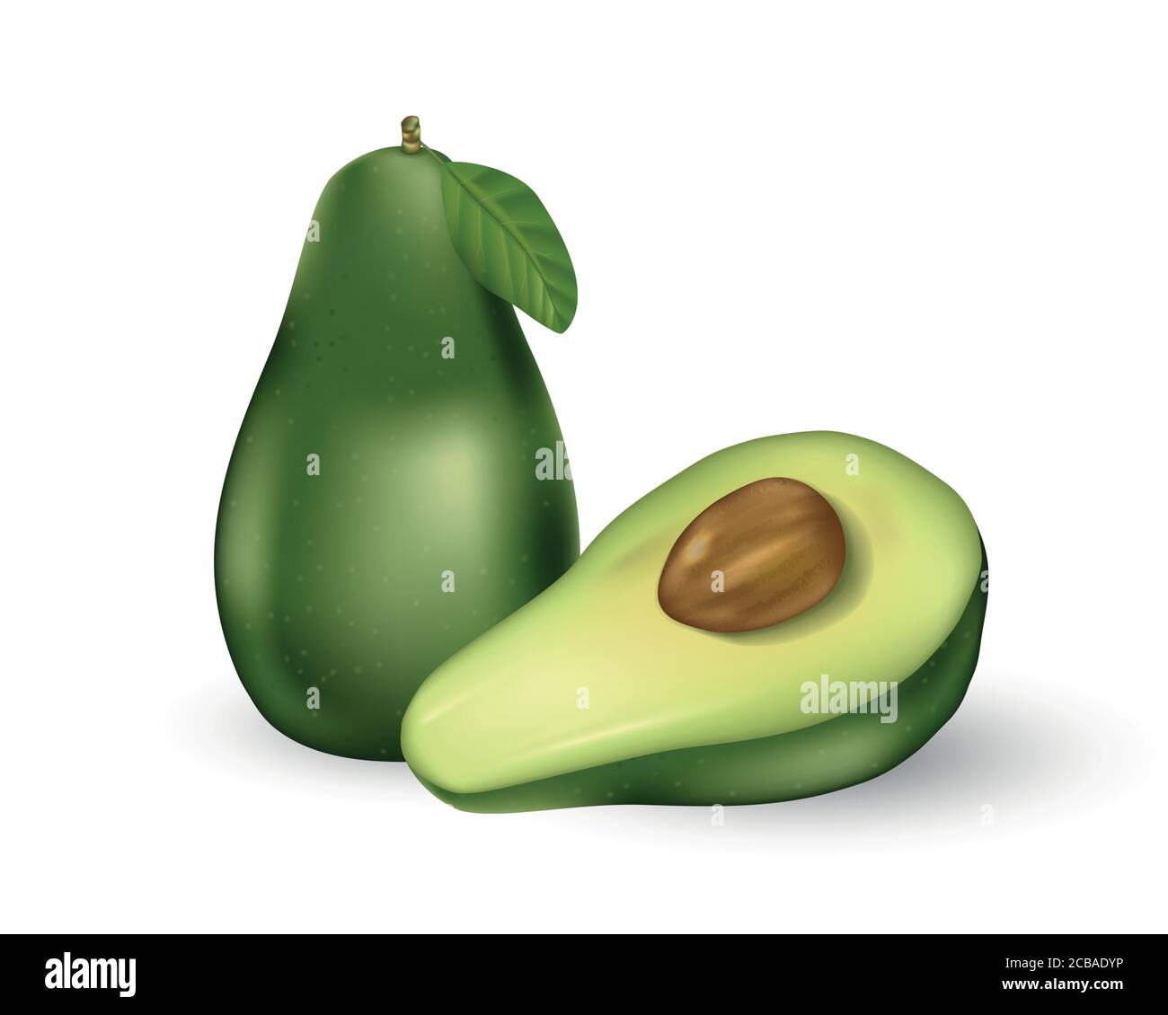 https://c8.alamy.com/comp/2CBADYP/realistic-fresh-fruit-avocado-isolated-on-white-whole-and-cut-in-half-avocado-with-seed-and-green-leaf-vector-illustration-2CBADYP.jpg