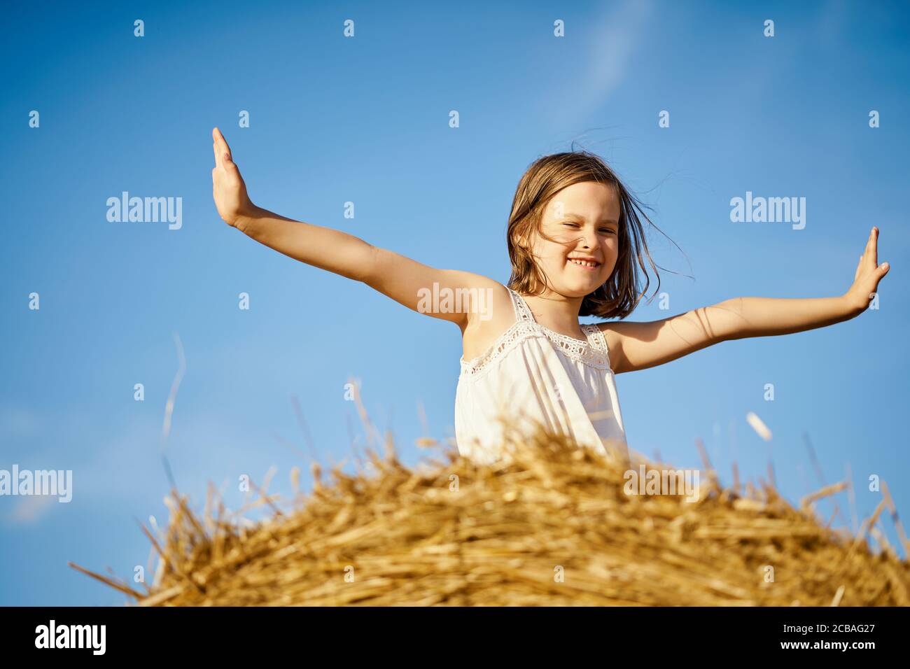 cute little girl sits on mown rye in the field Stock Photo - Alamy