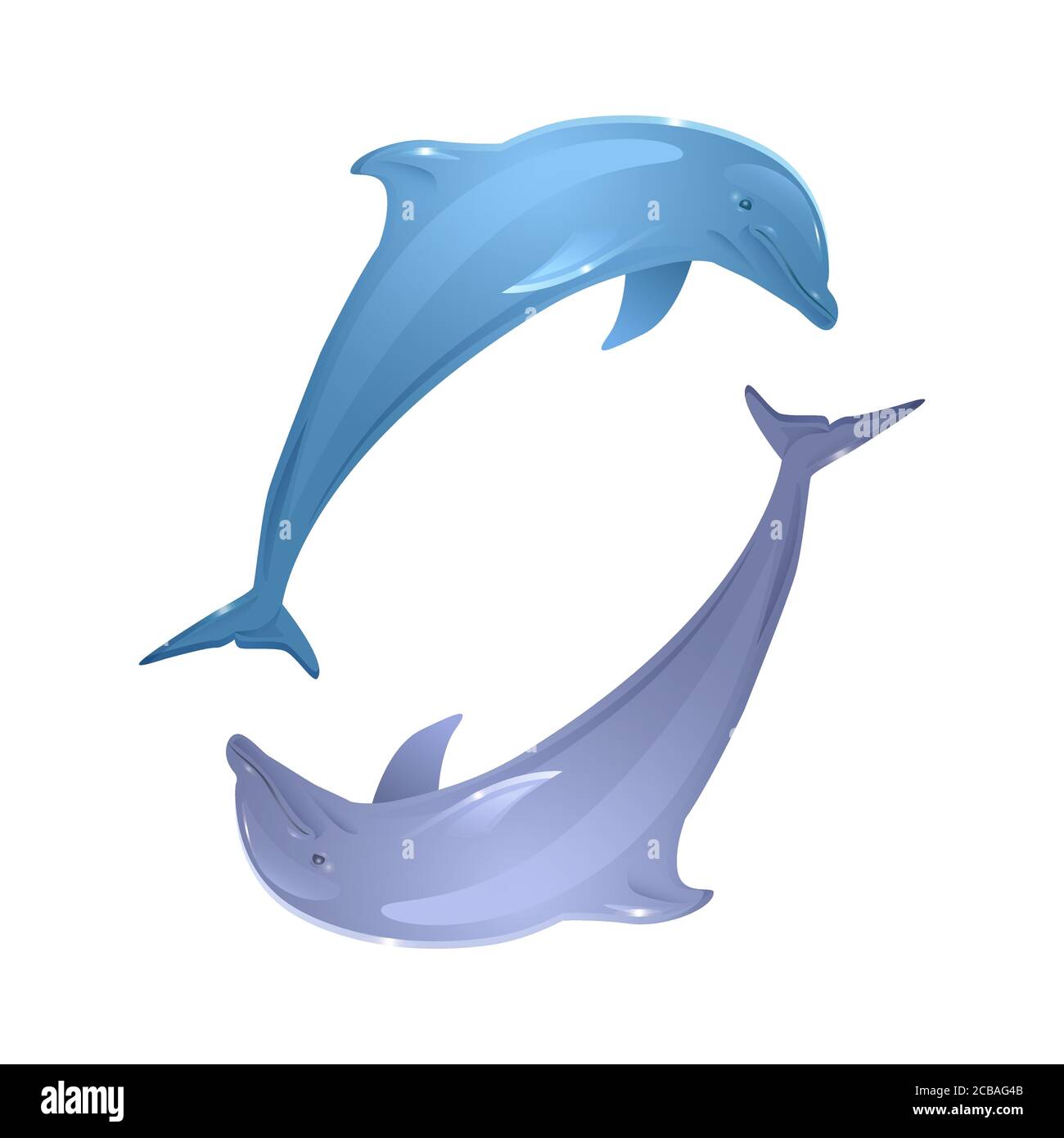 Vector couple of playing dolphins for your creativity Stock Vector
