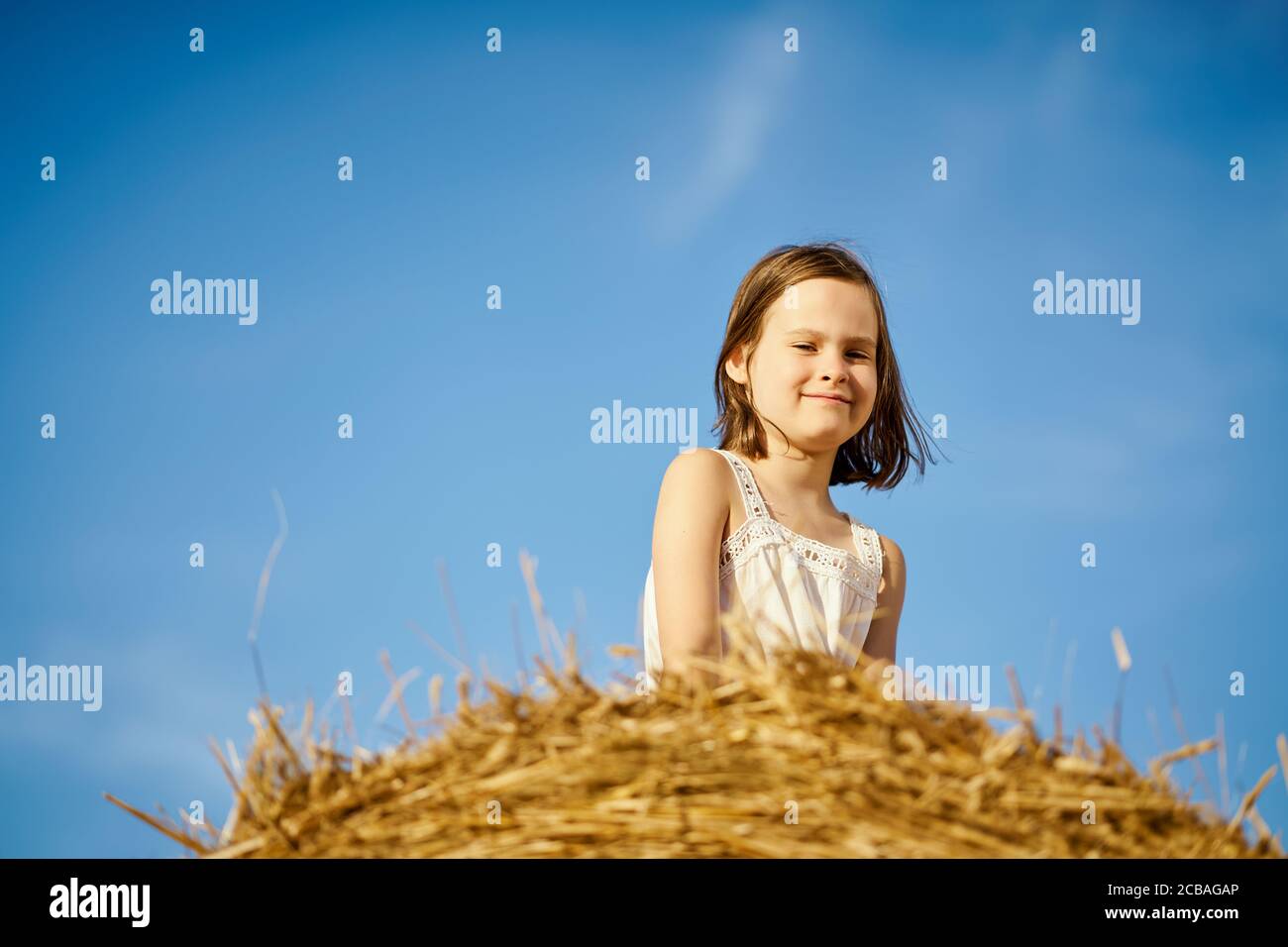 cute little girl sits on mown rye in the field Stock Photo - Alamy