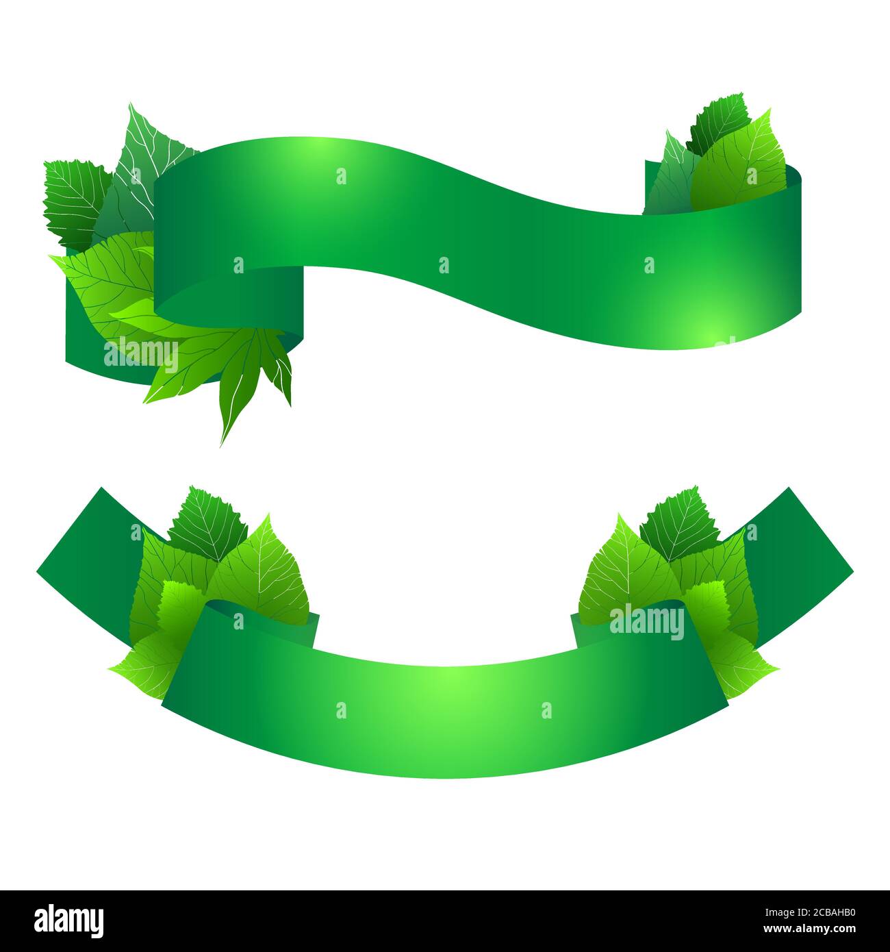 Set of green ribbons with leaves. Vector element for your design Stock