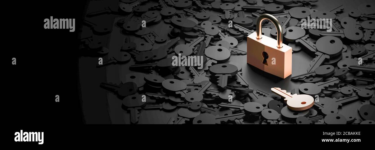 Padlock with infinite keys, metaphor of problems, solutions and risk