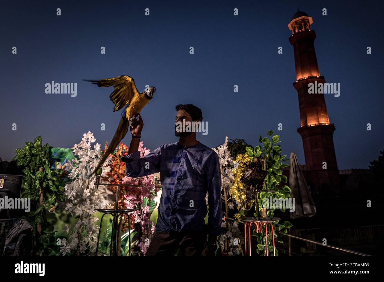 Bird show in the Old Town in front of the Badshahi Mosque, the UNESCO
