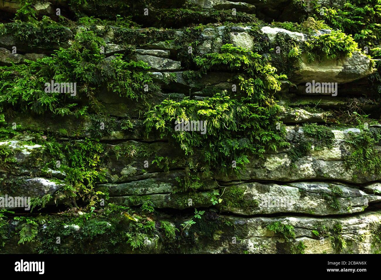 Mountain rock texture closeup for wallpaper design. Retro background. Vintage blank wallpaper. Grunge texture. Stock Photo