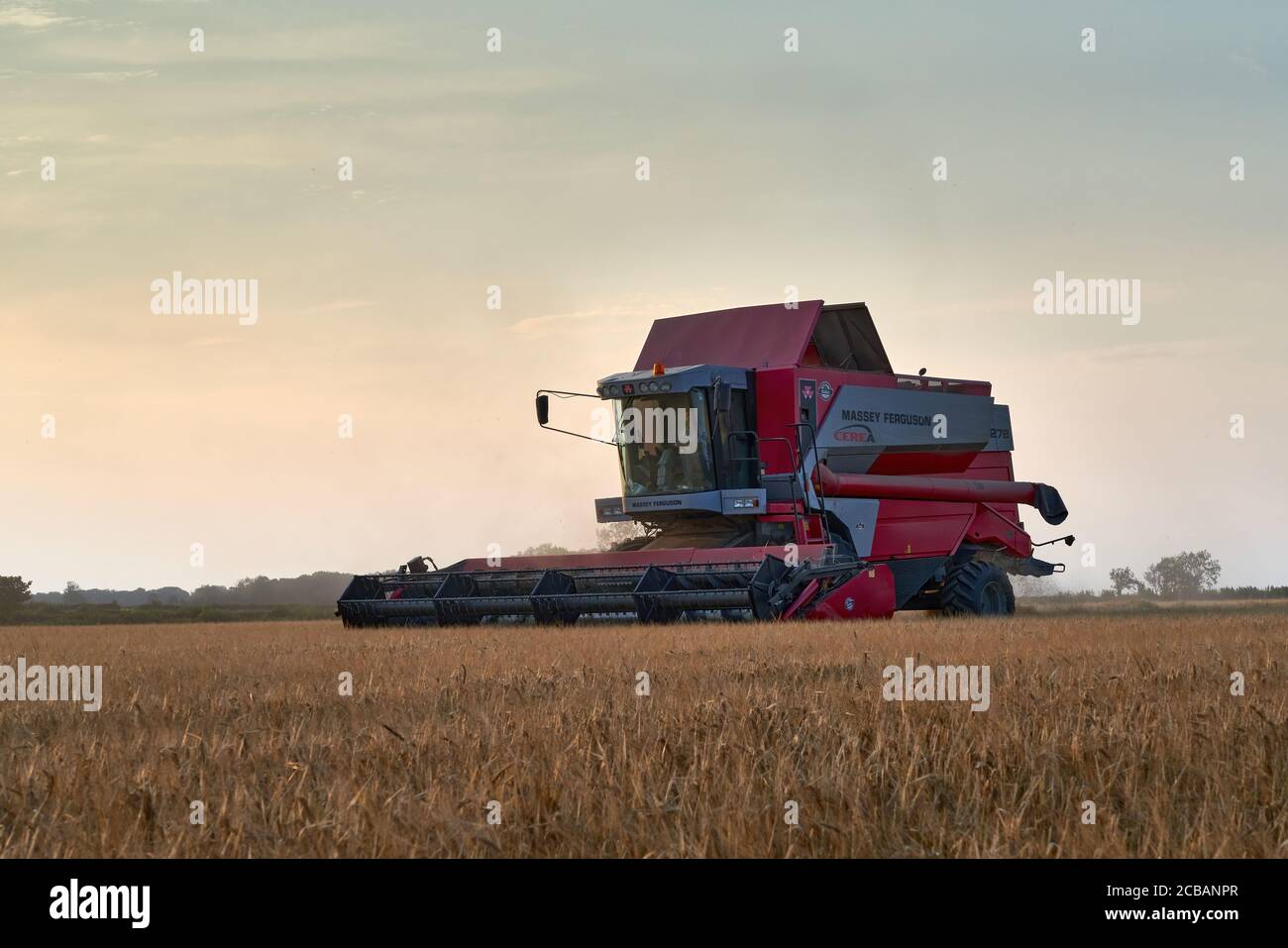 Massey Ferguson Cerea 7278 combine harvesting in a field of barley in Lincolnshire in the summer of 2020 Stock Photo