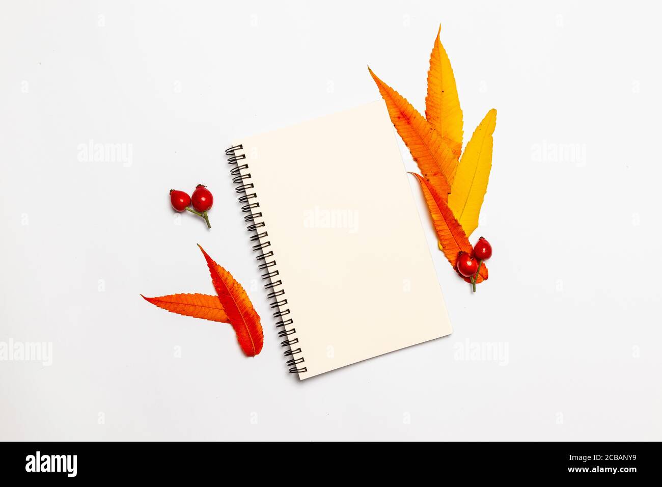 October Notepad Notepad with autumn yellow and red leaves background seasonal ...