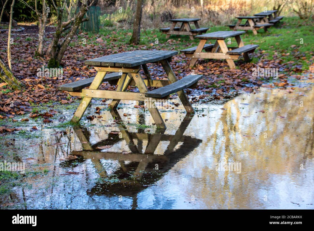 picnic bench and it's reflection a a large puddle of water Stock Photo
