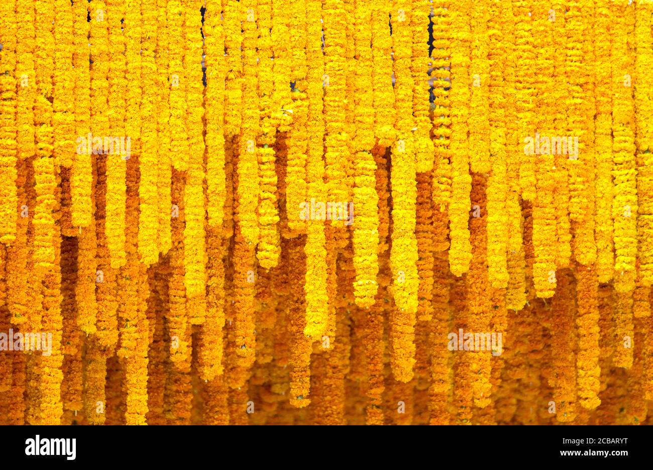 Details 200 marigold flower background - Abzlocal.mx