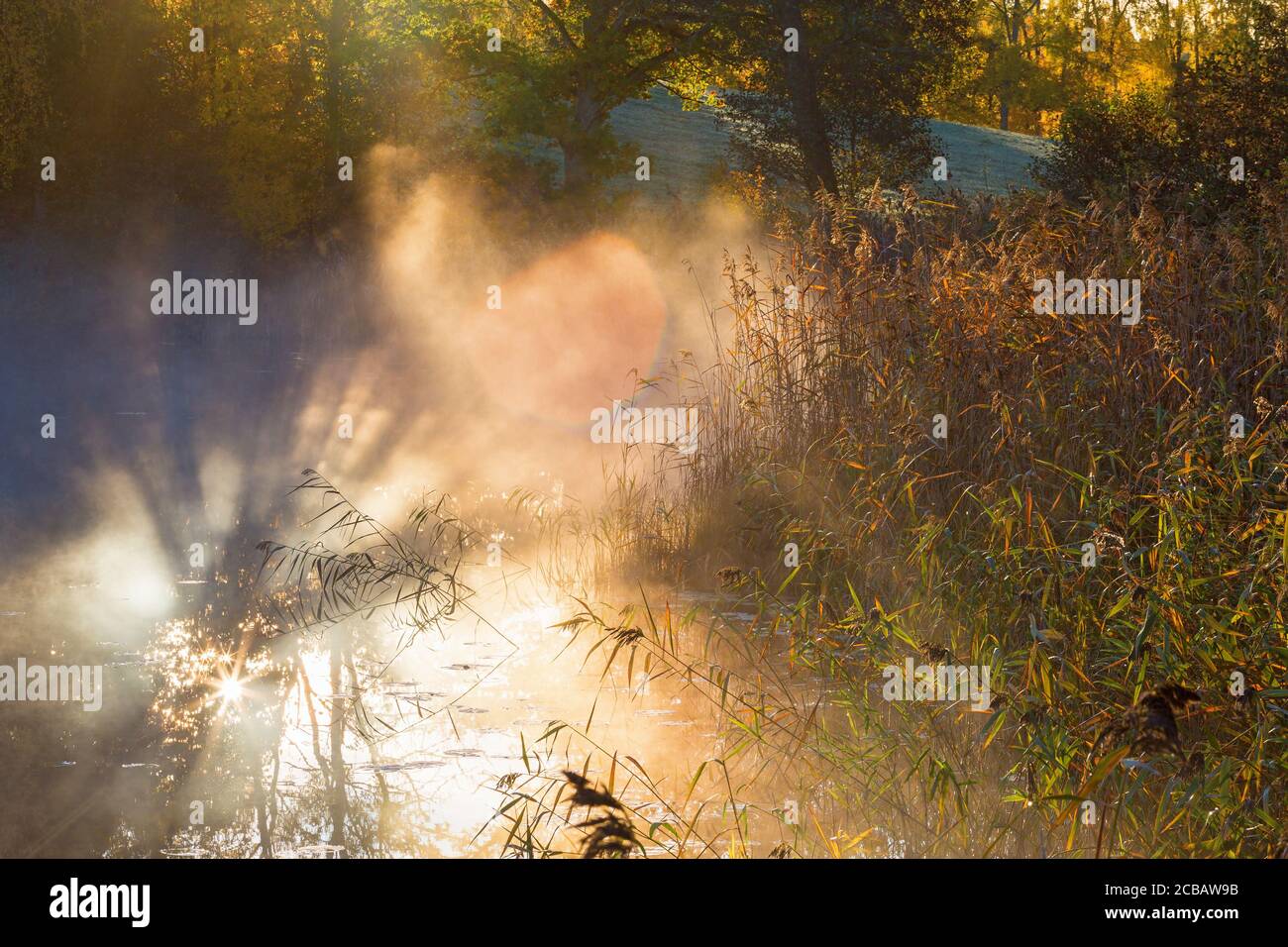 Sunbeams in the fog hi-res stock photography and images - Alamy