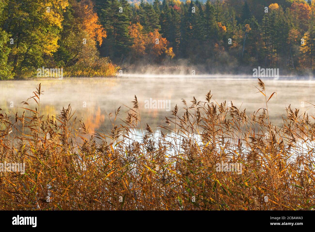 Fog and wood waters hi-res stock photography and images - Alamy