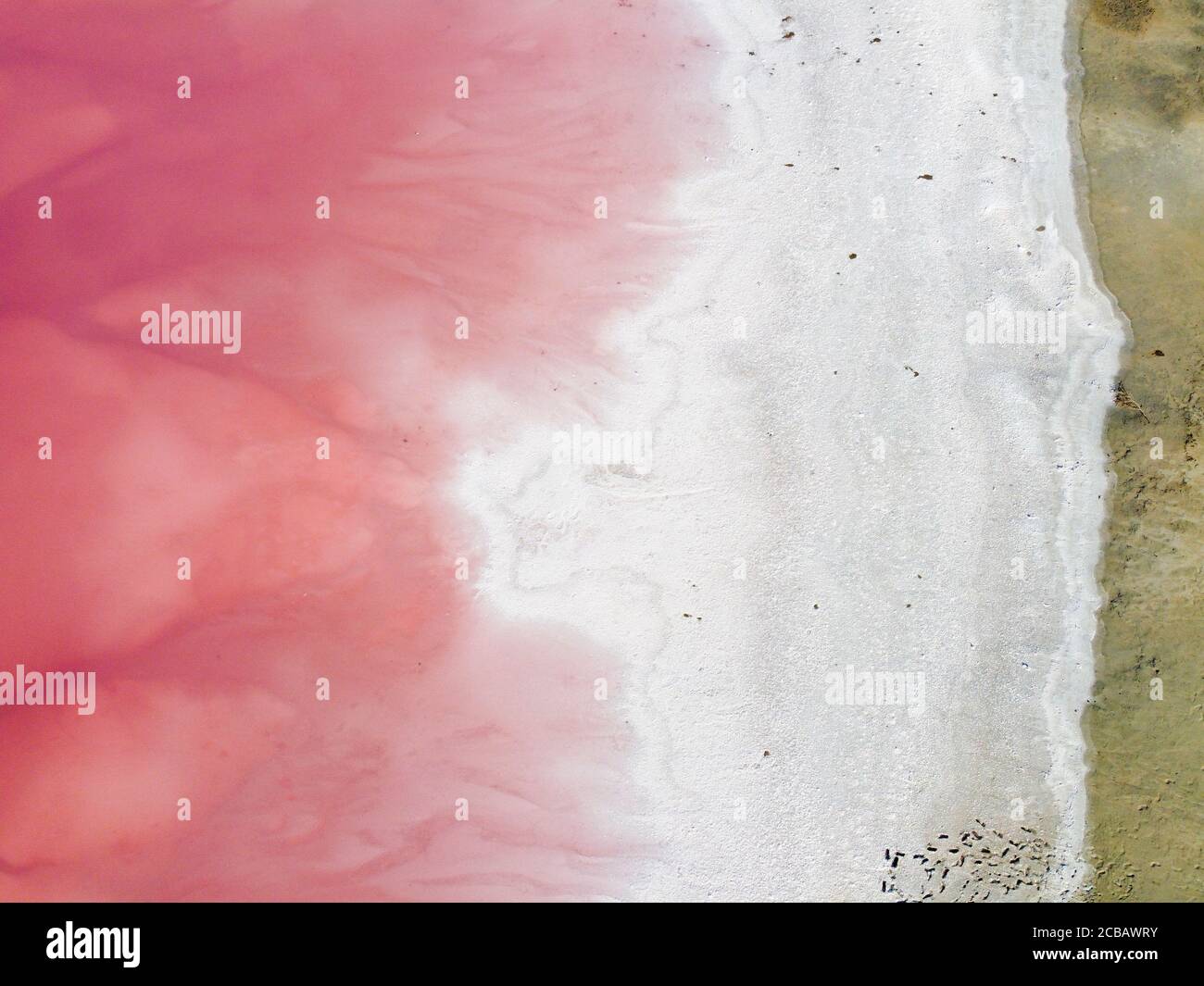 Top view of the shore covered with salt and pink lake. Stock Photo