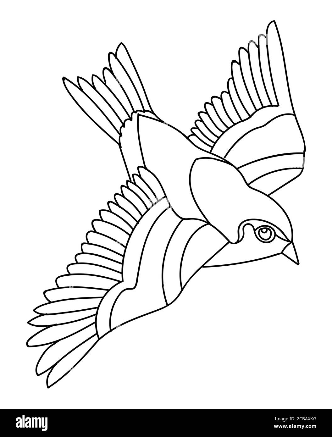 songbird drawing