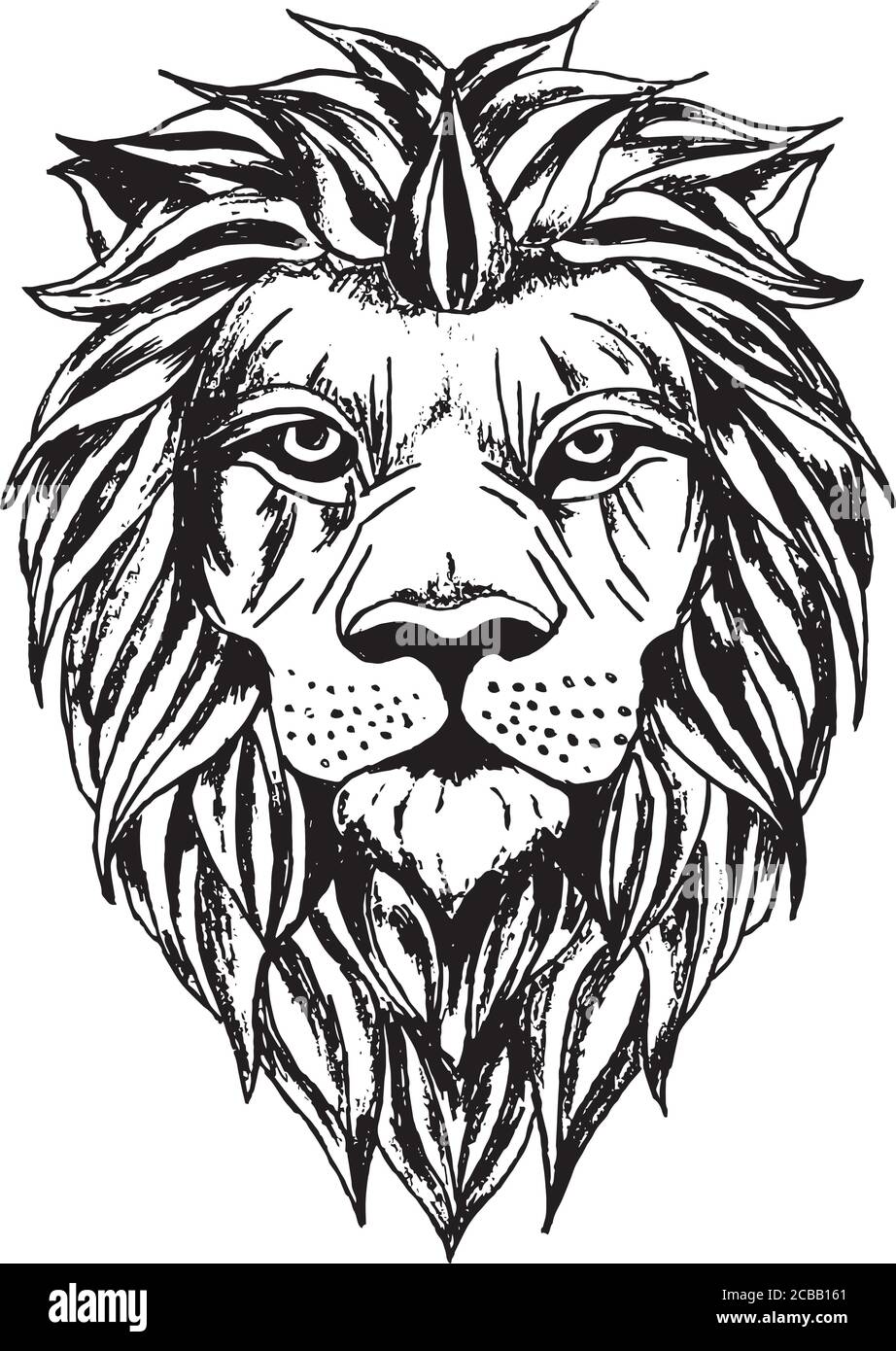Vector illustration of lion head Stock Vector Image & Art - Alamy