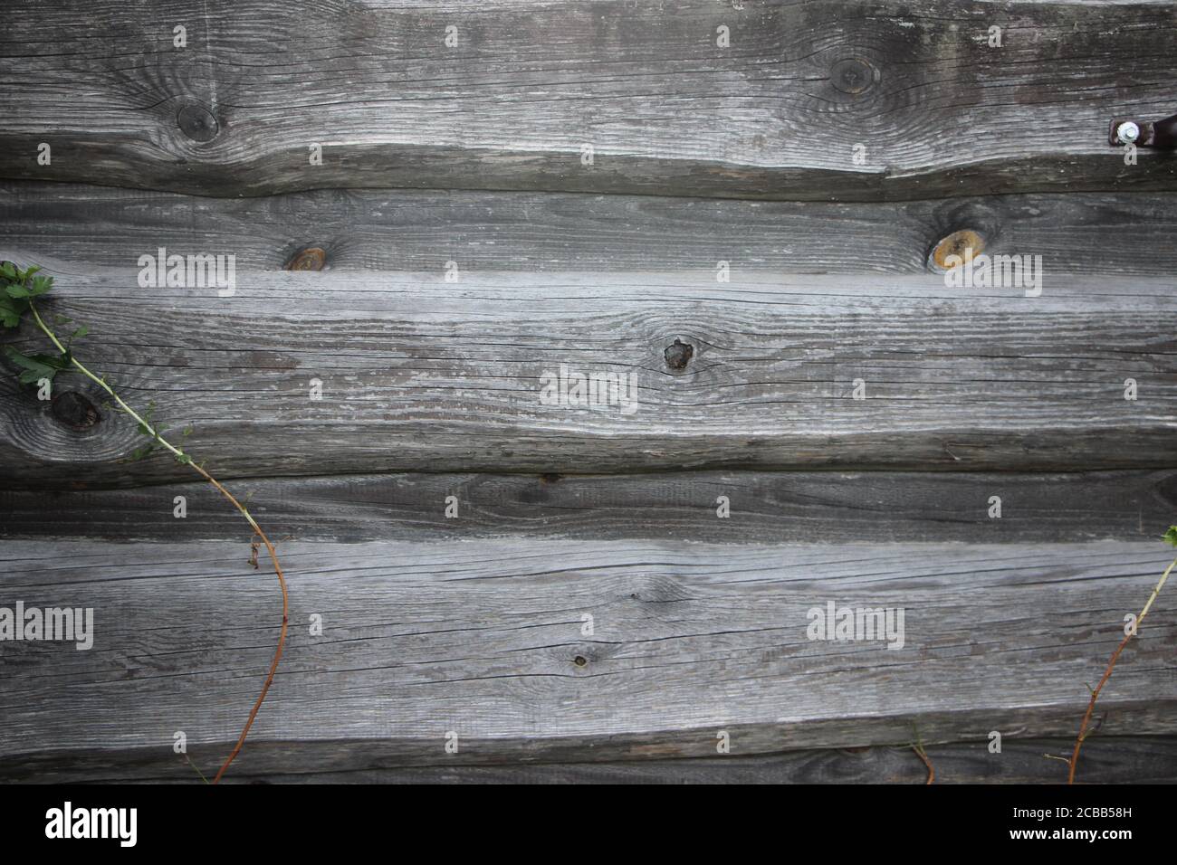Grey oak wooden texture wood hi-res stock photography and images - Alamy