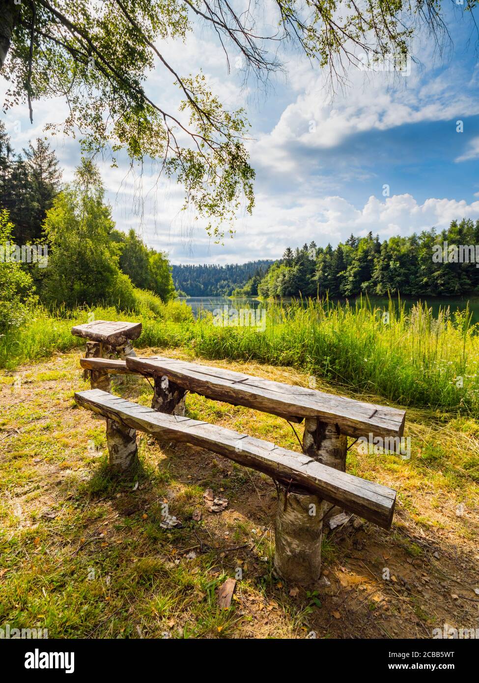 Green forest pretty beautiful preserved nature natural environment Spring season in lake Mrzla vodica in Croatia Europe intensive vivid colors bush Stock Photo