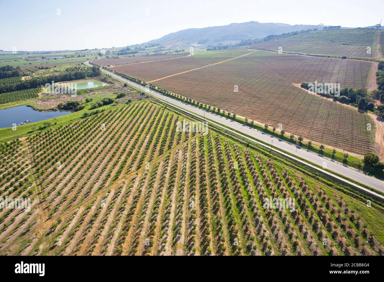 Cape Town, Western Cape / South Africa - 07/24/2020: Aerial photo of vineyards in Paarl Stock Photo