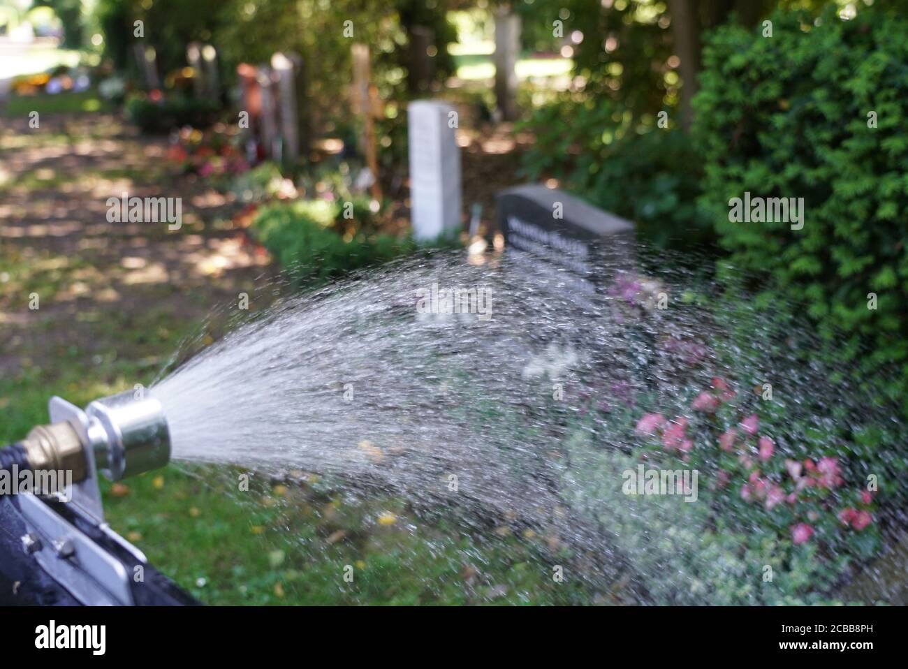 Hamburg, Deutschland. 12th Aug, 2020. Heat - Summer - The flowers, trees and bushes on the grave of the Ohlsdorf cemetery are now automatically supplied with sufficient water. A robot was programmed in such a way that it drives the paths between the graves independently and pours the places that were programmed into it beforehand. | usage worldwide Credit: dpa/Alamy Live News Stock Photo