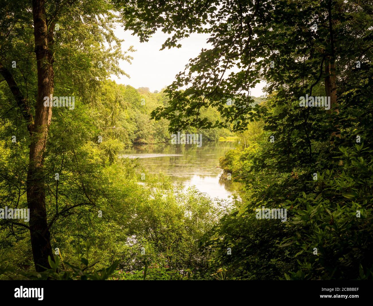 Upper Lake seen through trees at the Yorkshire Sculpture Park. West Bretton. West Yorkshire, UK Stock Photo