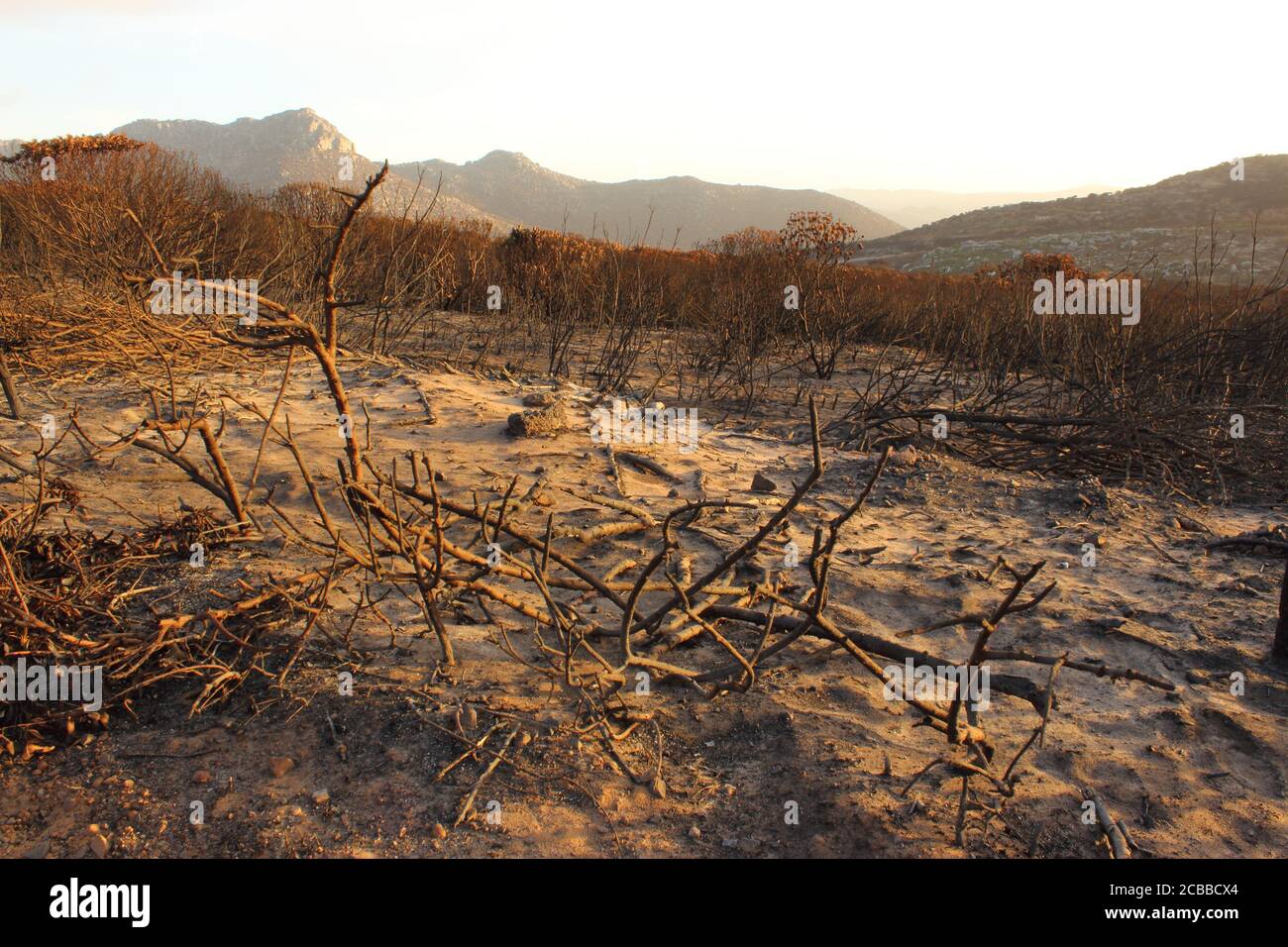 Sun burnt beams hi-res stock photography and images - Alamy
