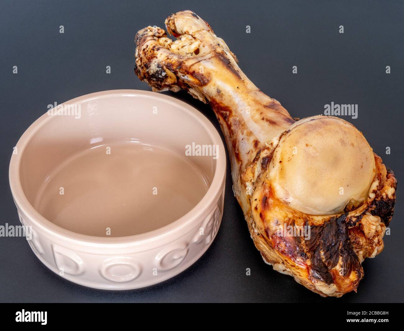 Closeup isolated shot of a giant roasted beef leg bone next to a small dog bowl – sold as a natural meaty treat for a pet dog to chew on. Stock Photo