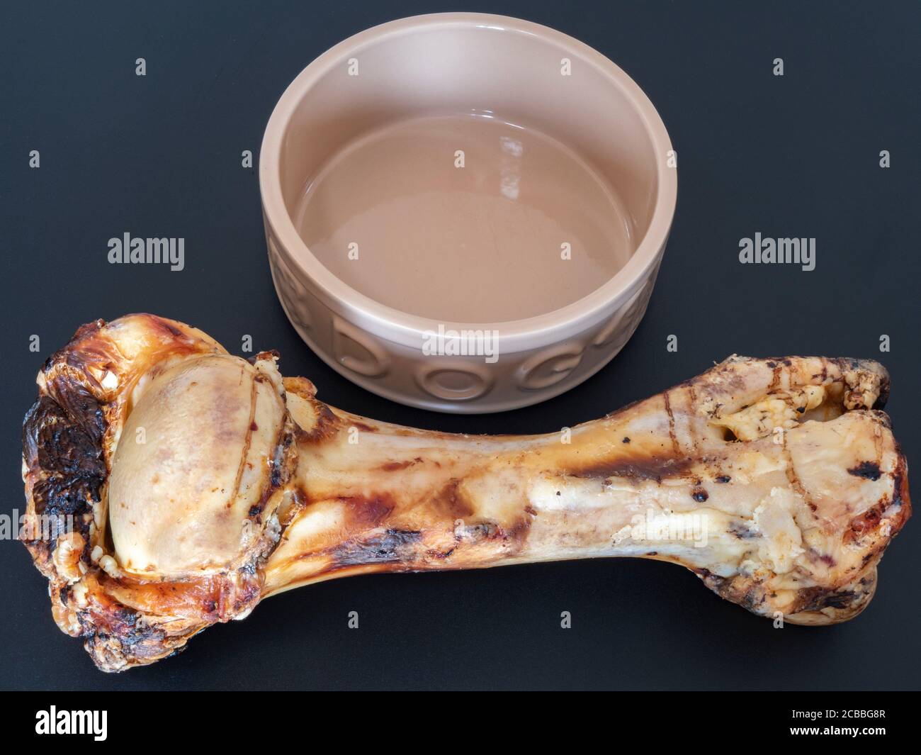 Closeup isolated shot of a giant roasted beef leg bone in front of a small dog bowl – sold as a natural meaty treat for a pet dog to chew on. Stock Photo