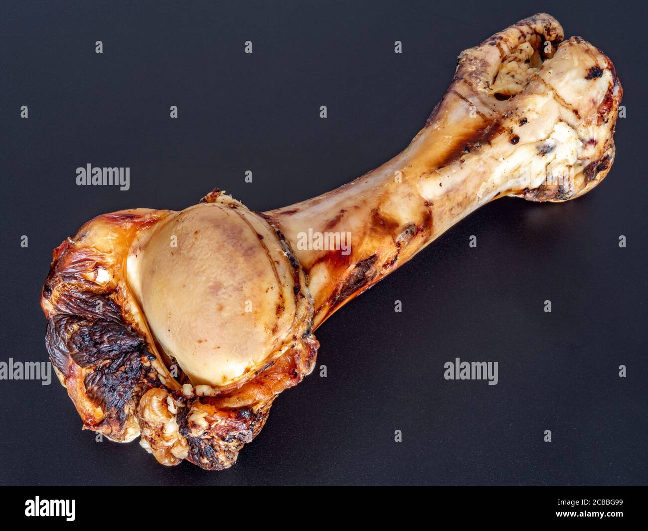 Closeup isolated shot of a giant roasted beef leg bone – sold as a natural meaty treat for a pet dog to chew on. Stock Photo