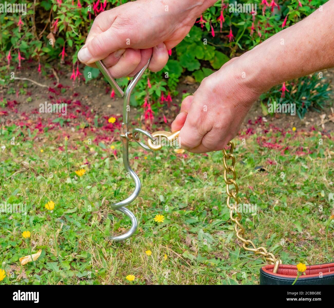 In ground hotsell dog chain
