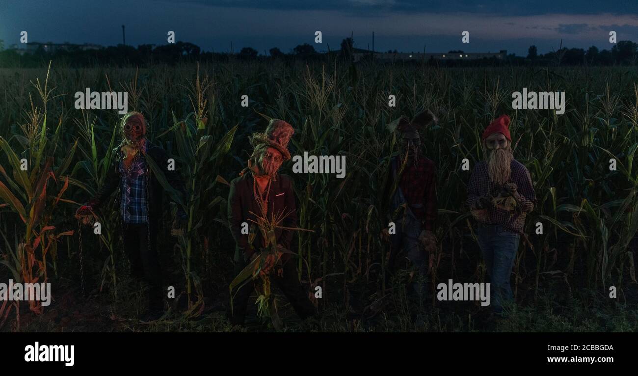 Four undead zombies stand at the edge of a cornfield at night. Panorama