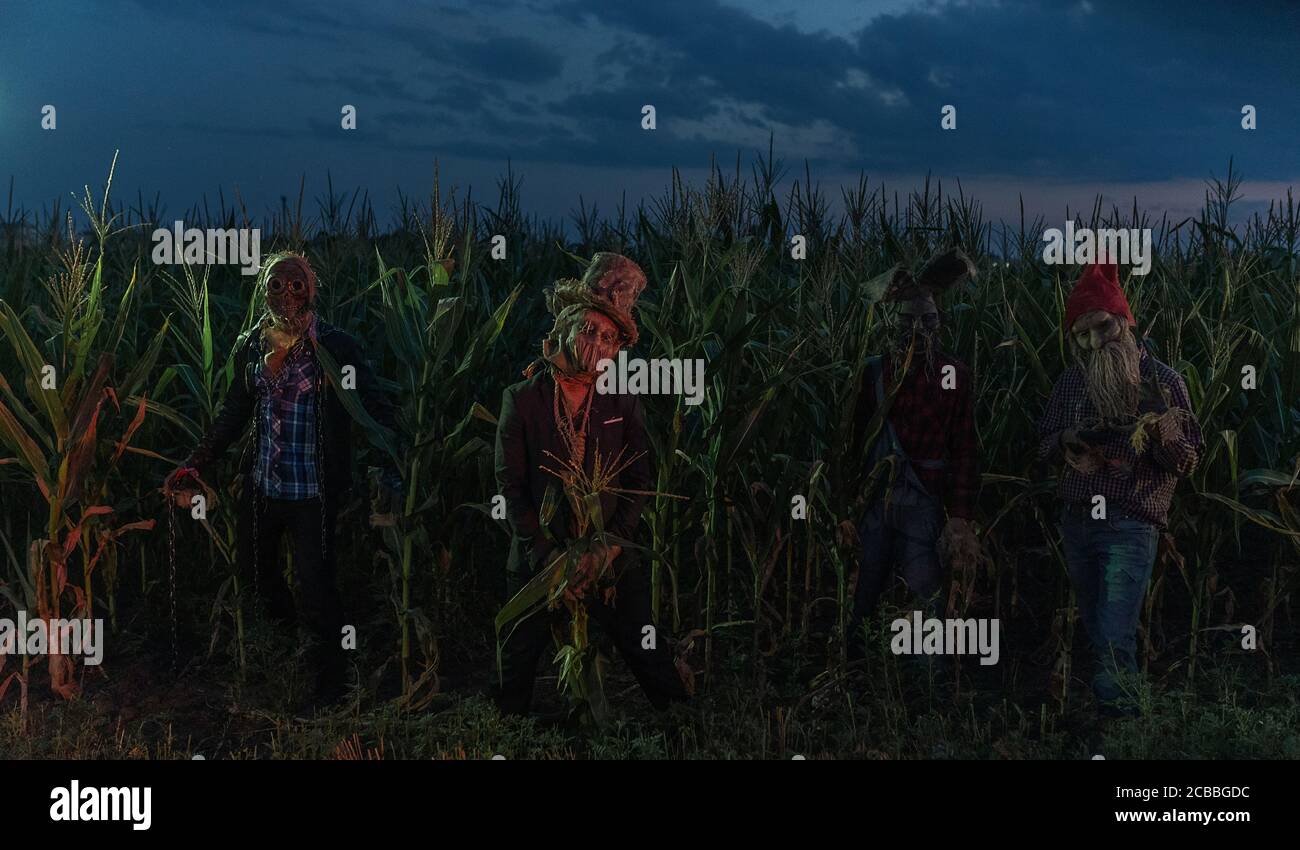 Four undead zombies stand at the edge of a cornfield at night Stock
