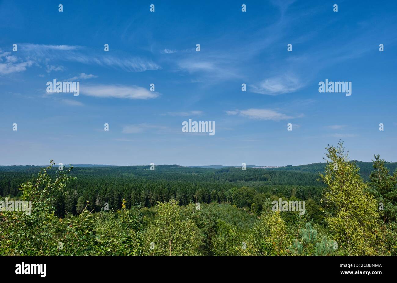 Looking north across the Forest of Dean towards Cinderford from New Fancy Viewpoint, Forest of Dean, Gloucestershire Stock Photo