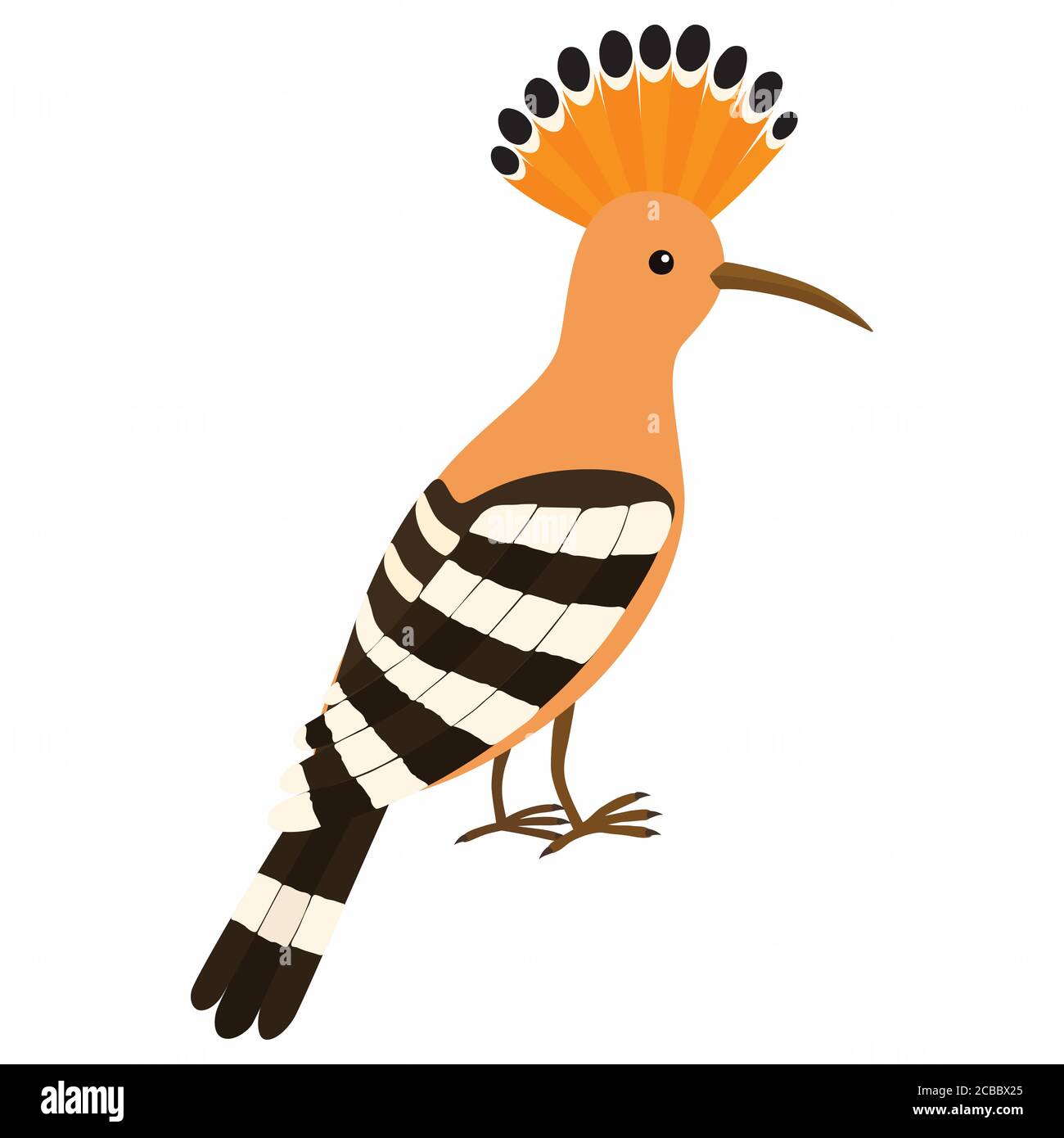 Hoopoe Bird. Vector illustration isolated on white background. Stock Vector