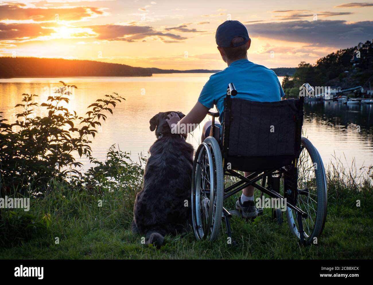 Boy in wheelchair at sunset with dog Stock Photo