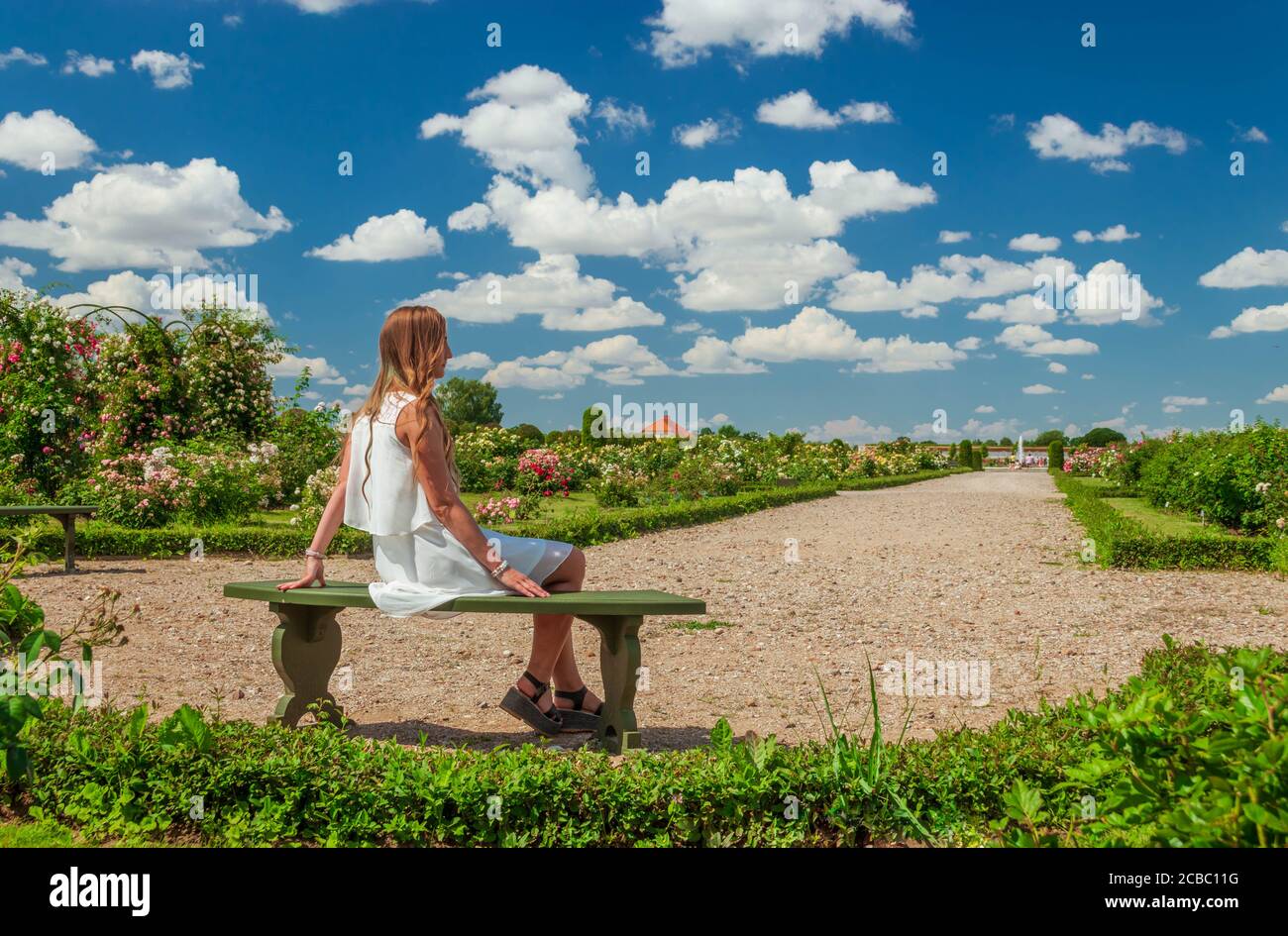Young woman in white dress sitting on a bench in Rundale Palace French garden during the blooming season of roses. Stock Photo