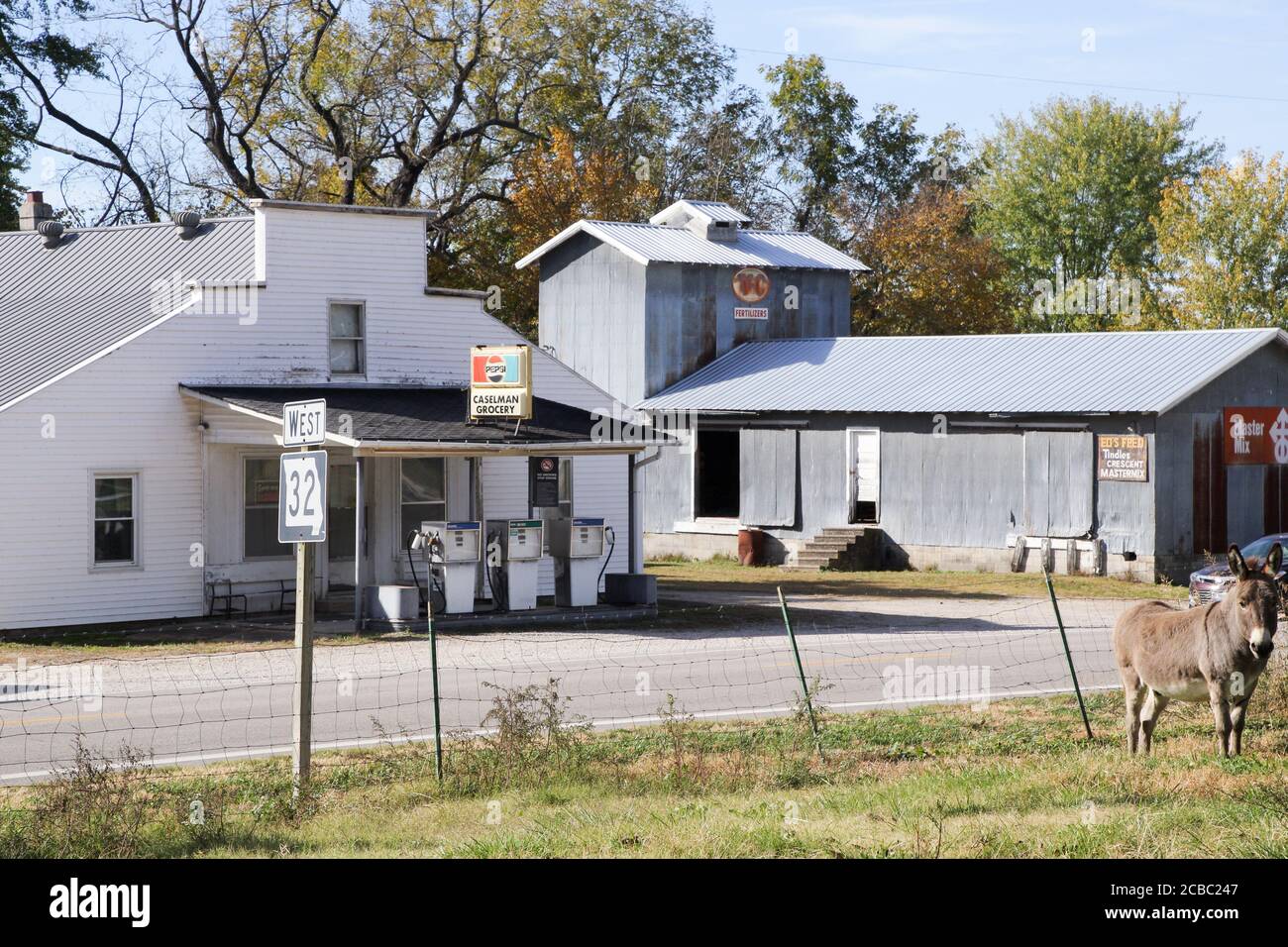 Mules along historic Route 66 in Long Lane, Missouri Stock Photo Alamy