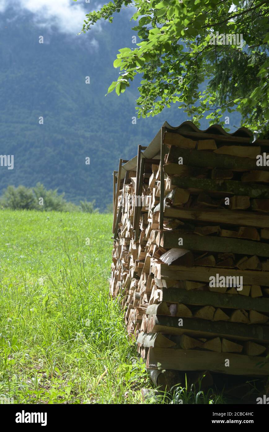 Holstoss mit Wiese und Baum im Mittagslicht Stock Photo