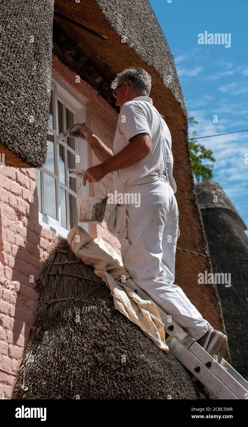 Hampshire, England, UK. 2020. Painter on a ladder using white paint to gloss the upper windows of an old thatched house in the UK Stock Photo