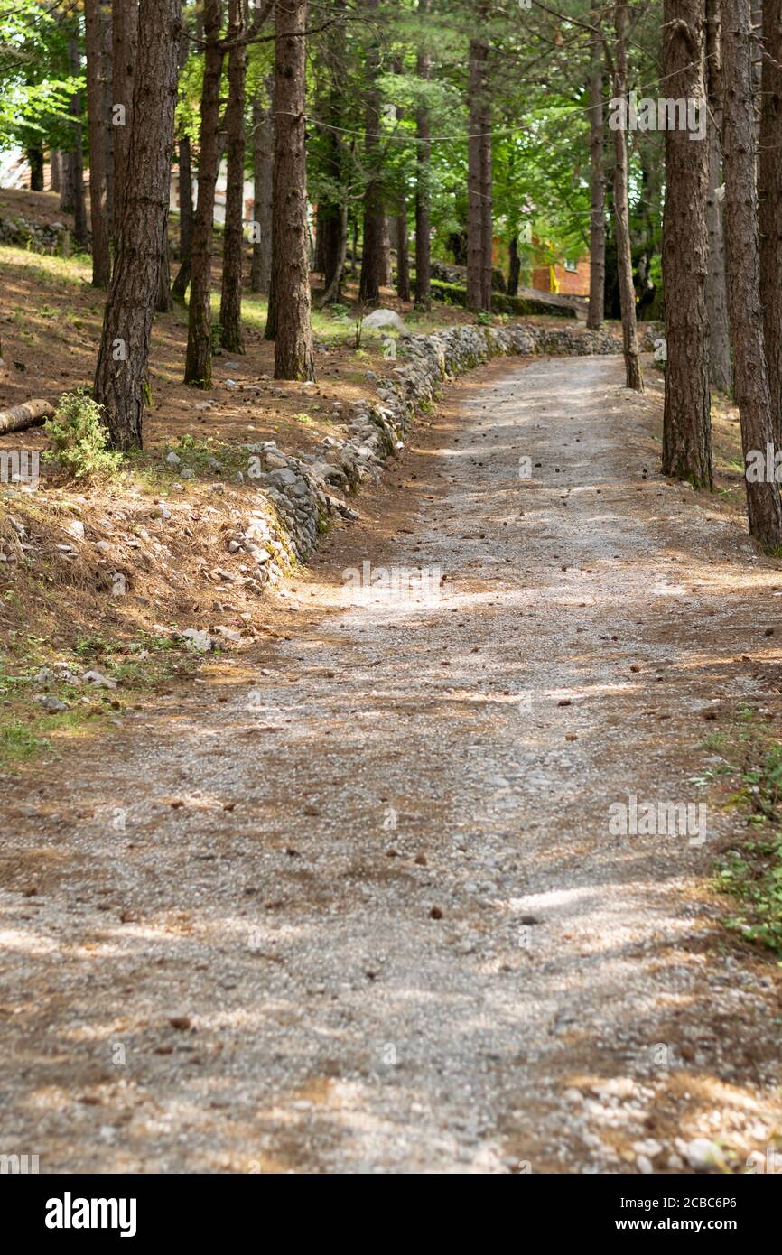 Walking path in the woods Stock Photo - Alamy