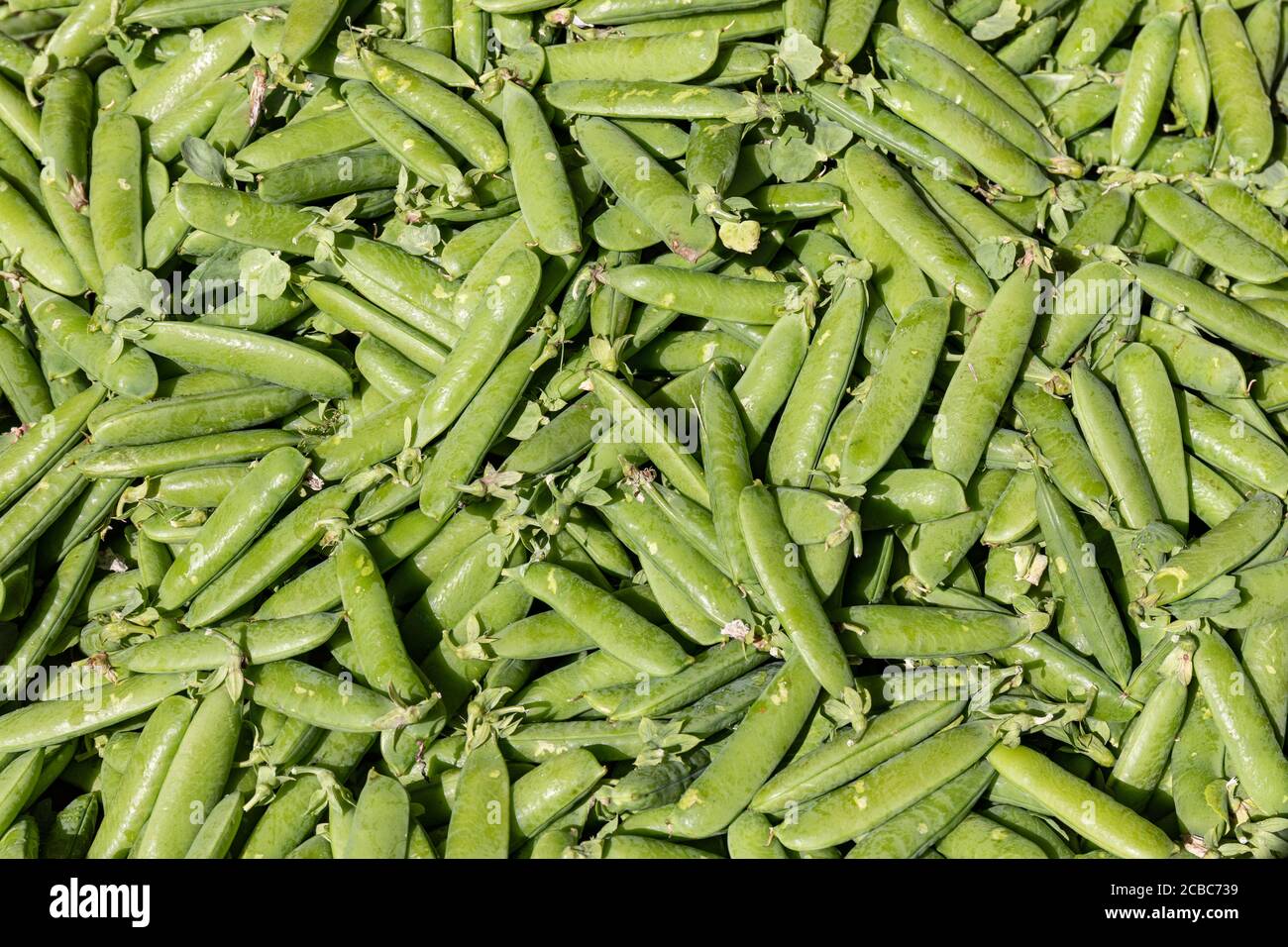 Peas or pea pods on sale at market square Stock Photo