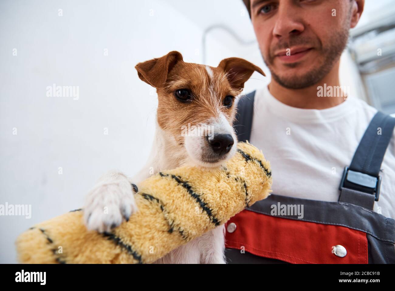 Man with his dog doing renovation work in the room. Good relationship